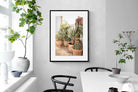 Pixalot Potted Succulents