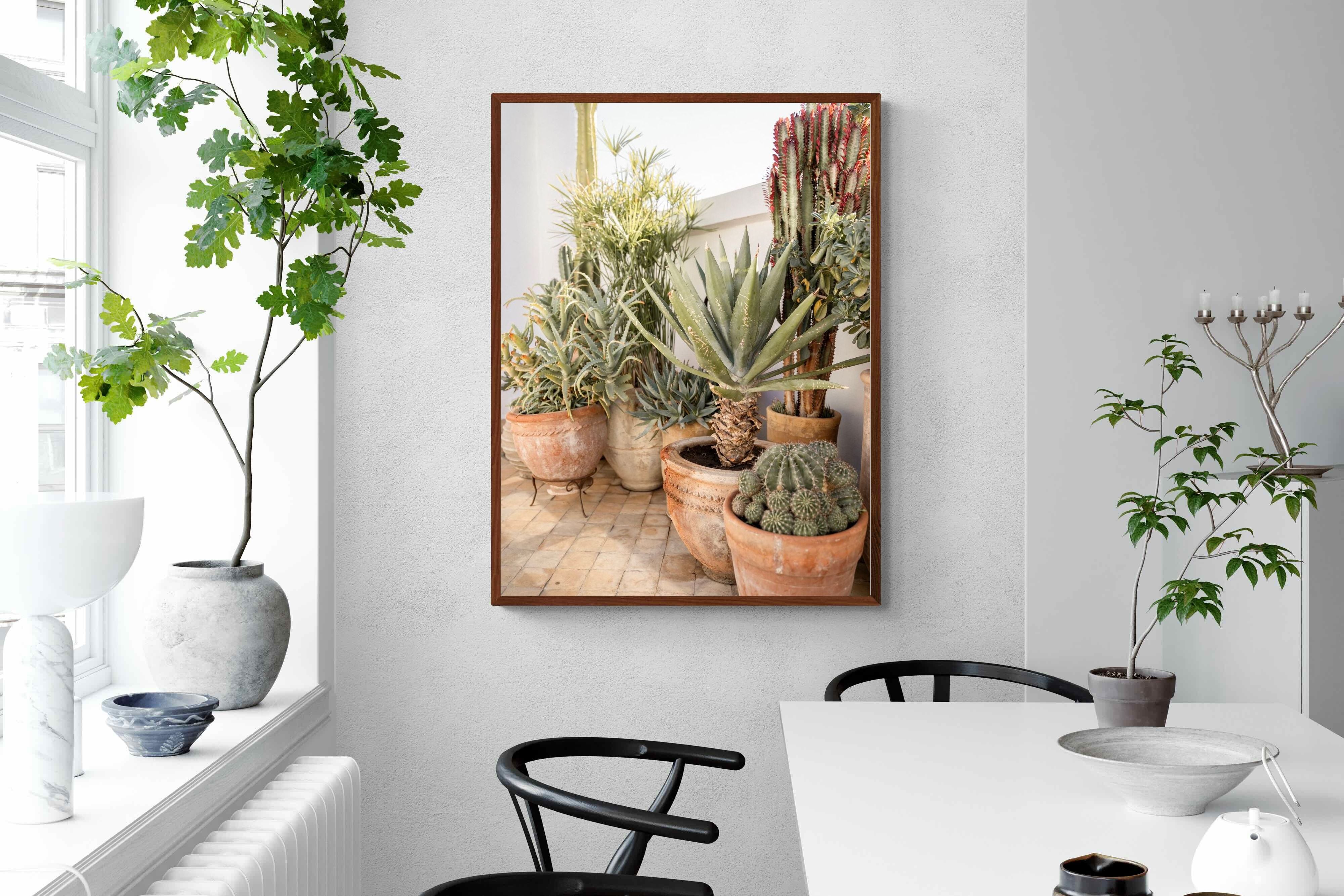 Pixalot Potted Succulents