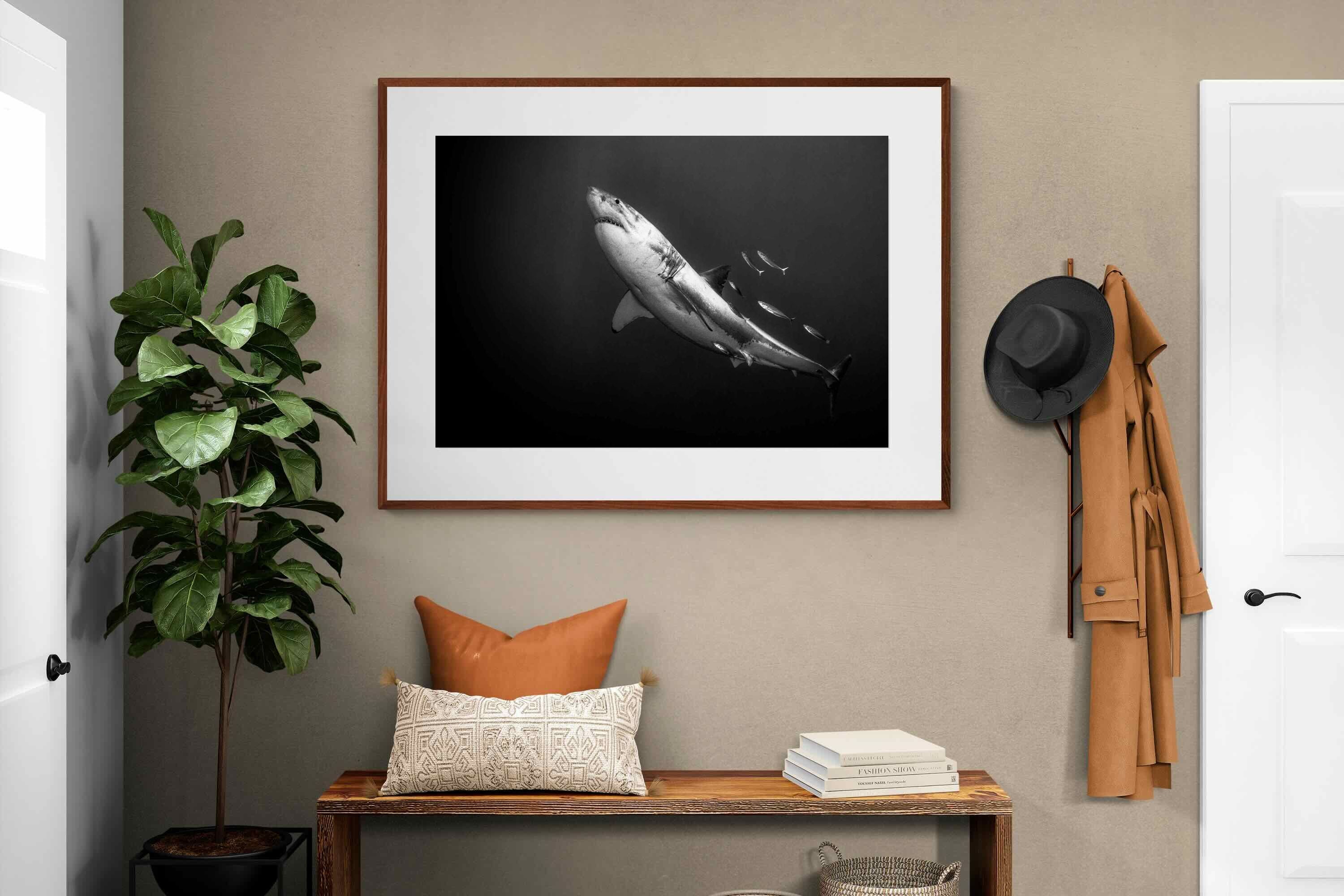 Pixalot ® Predator of the Deep