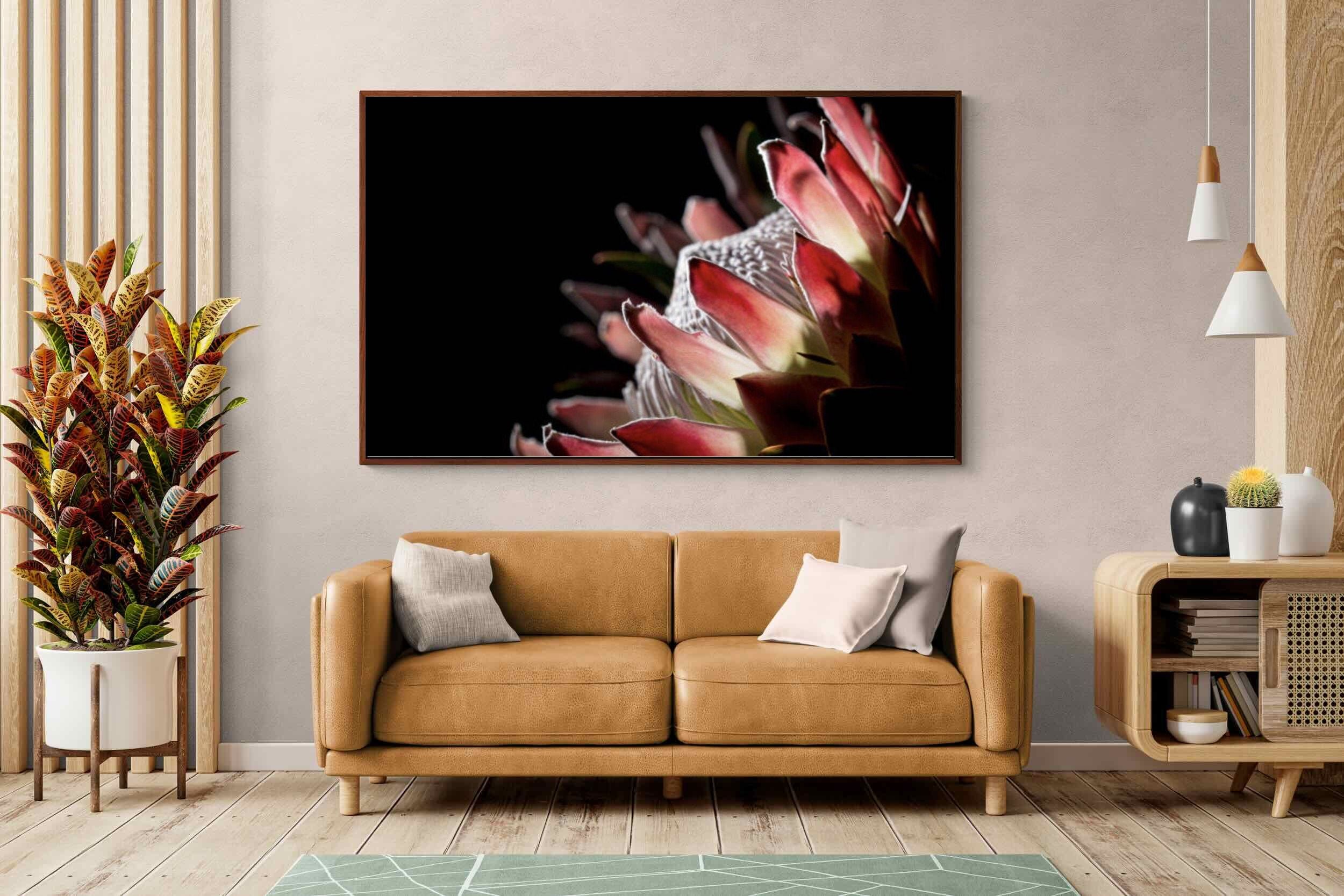 Pixalot ® Protea