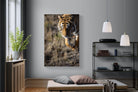 Pixalot Prowling Tiger