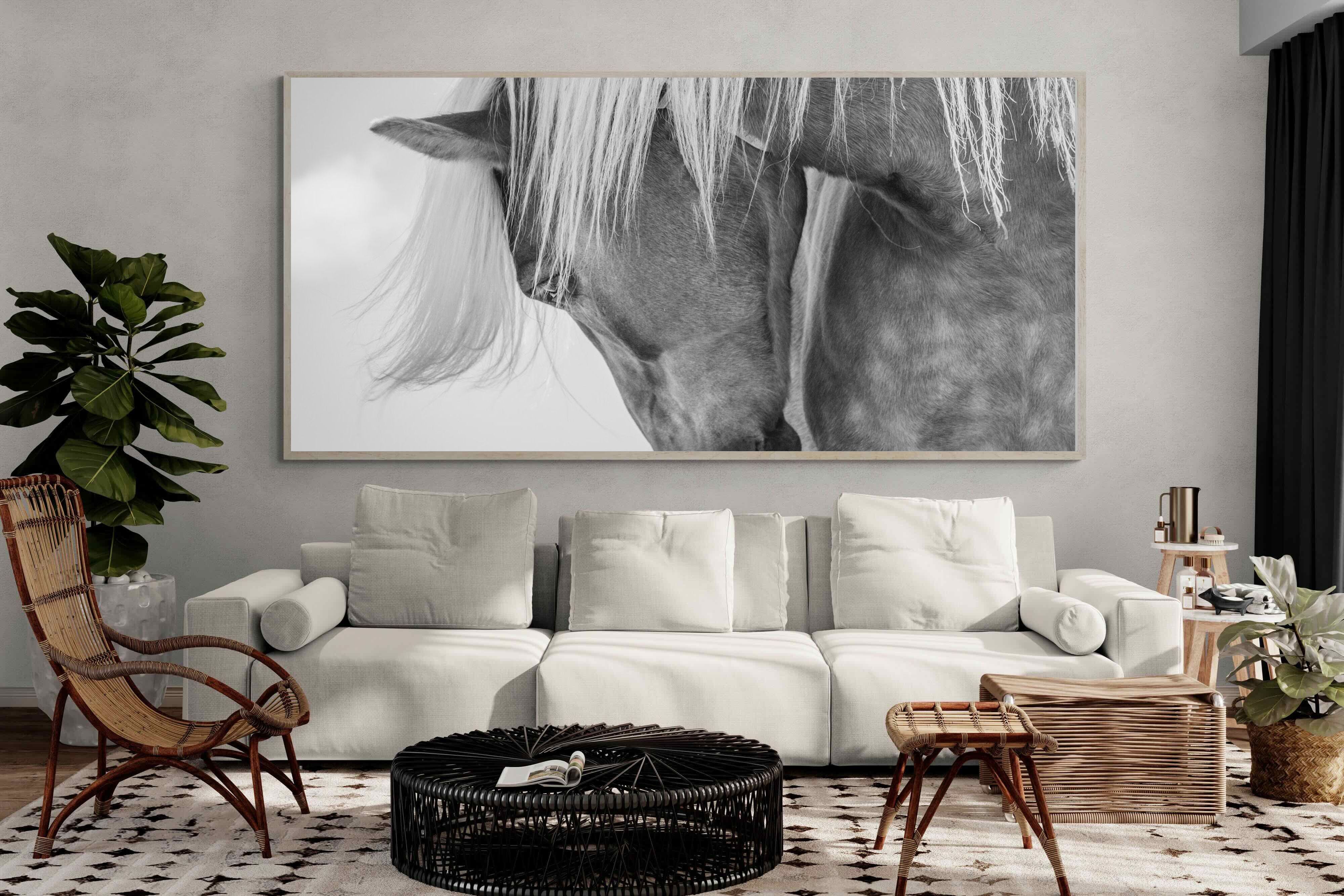 Pixalot Quiet Strength