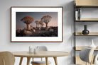 Pixalot ® Quiver Trees