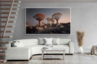 Pixalot Quiver Trees