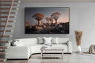 Pixalot Quiver Trees
