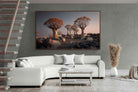 Pixalot ® Quiver Trees