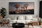 Pixalot Quiver Trees