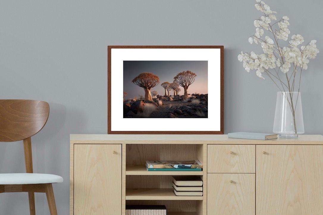 Pixalot ® Quiver Trees