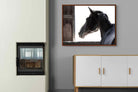 Pixalot ® Racehorse