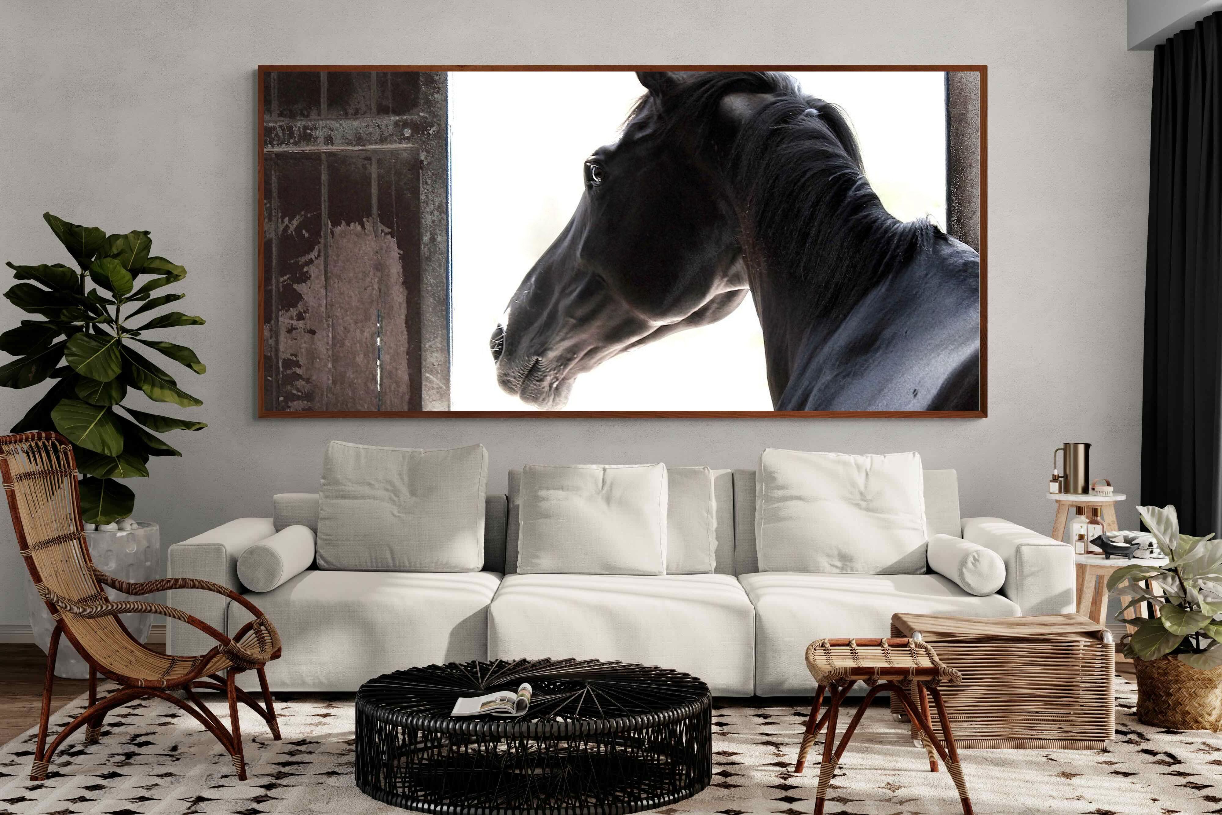 Pixalot ® Racehorse