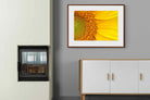 Pixalot ® Radiant Sunflower