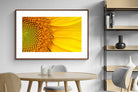 Pixalot ® Radiant Sunflower