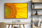 Pixalot ® Radiant Sunflower