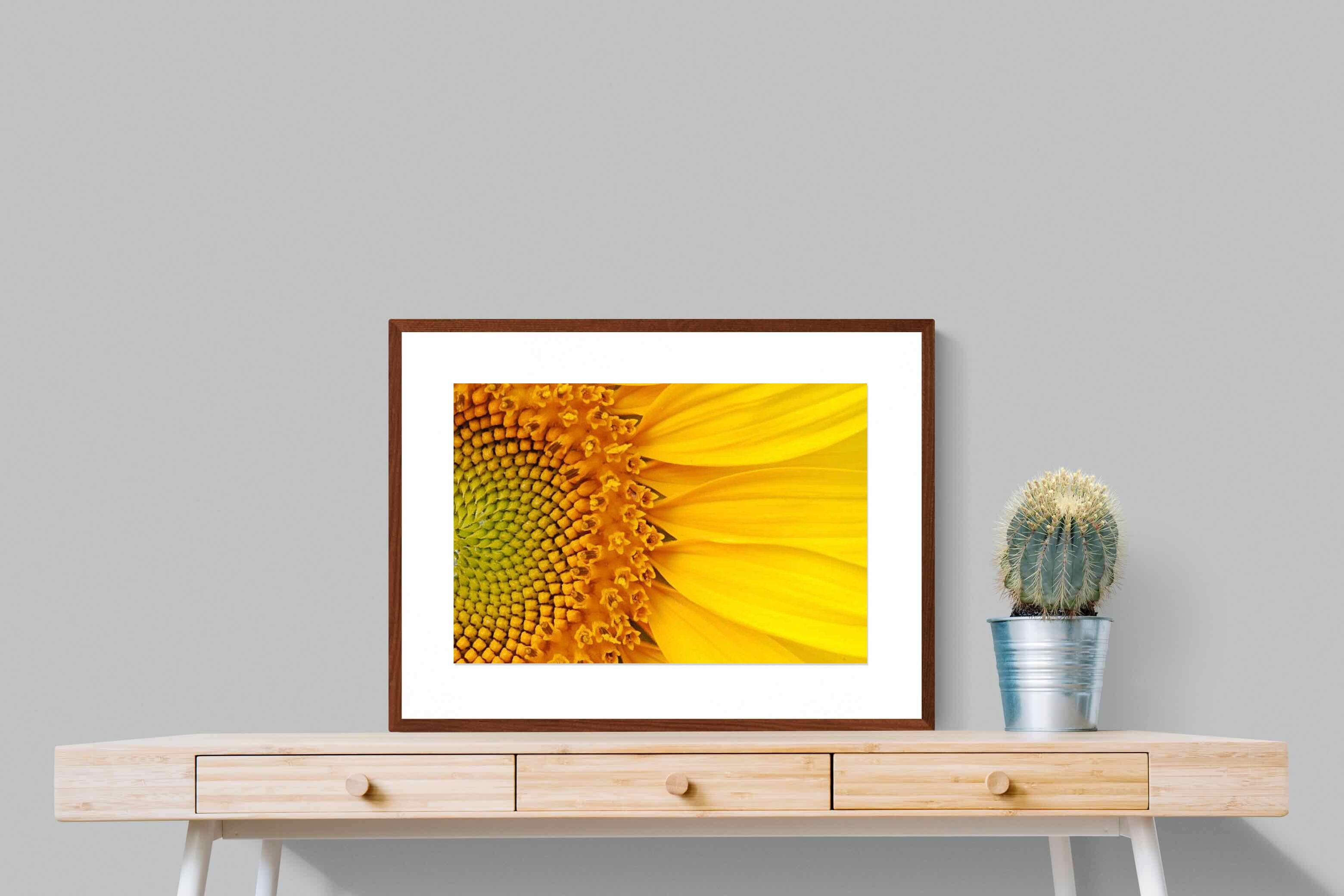Pixalot ® Radiant Sunflower