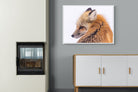 Pixalot Red Fox