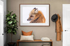 Pixalot Red Fox