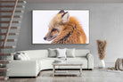 Pixalot Red Fox