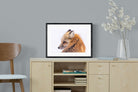 Pixalot Red Fox