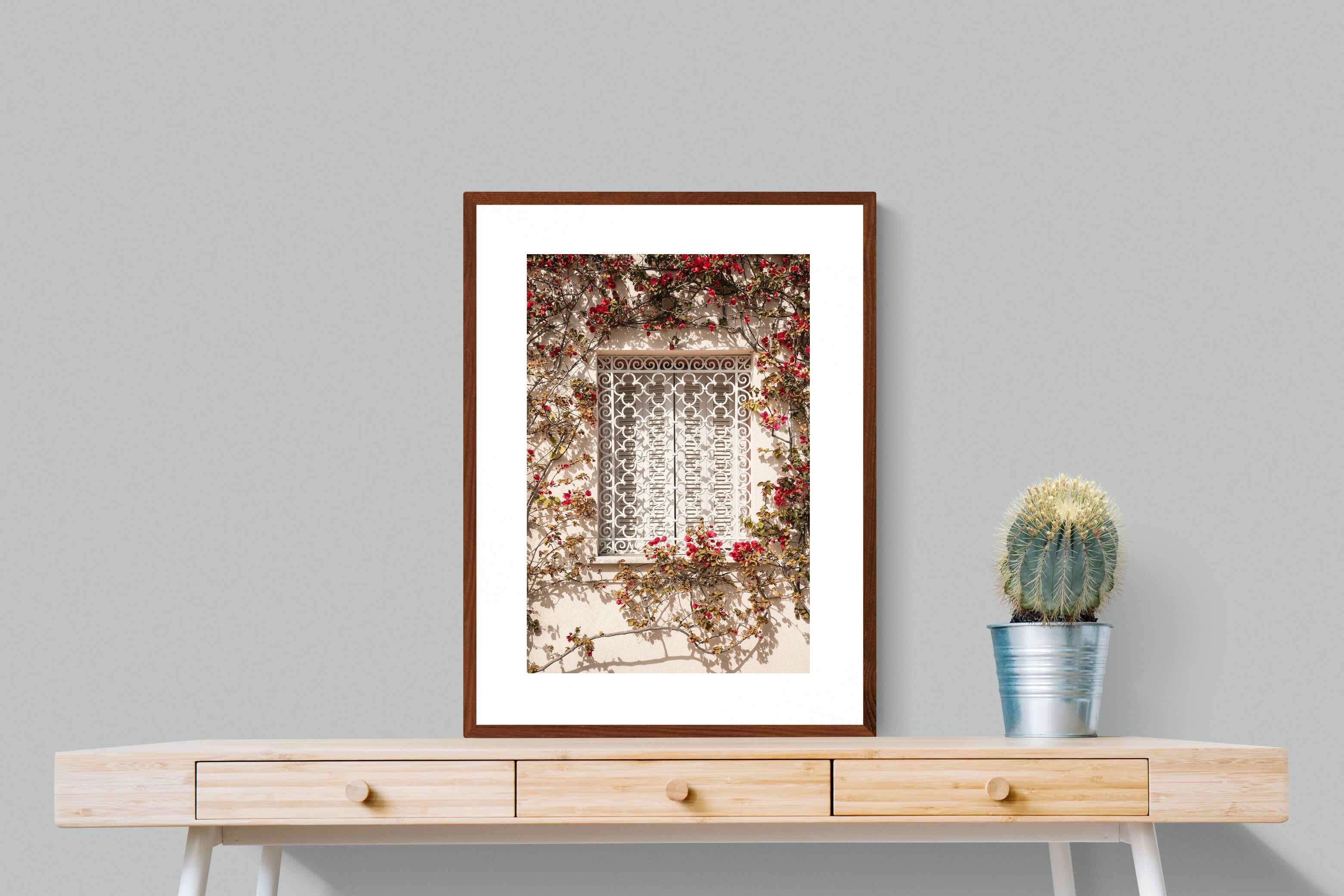 Pixalot Red Frame