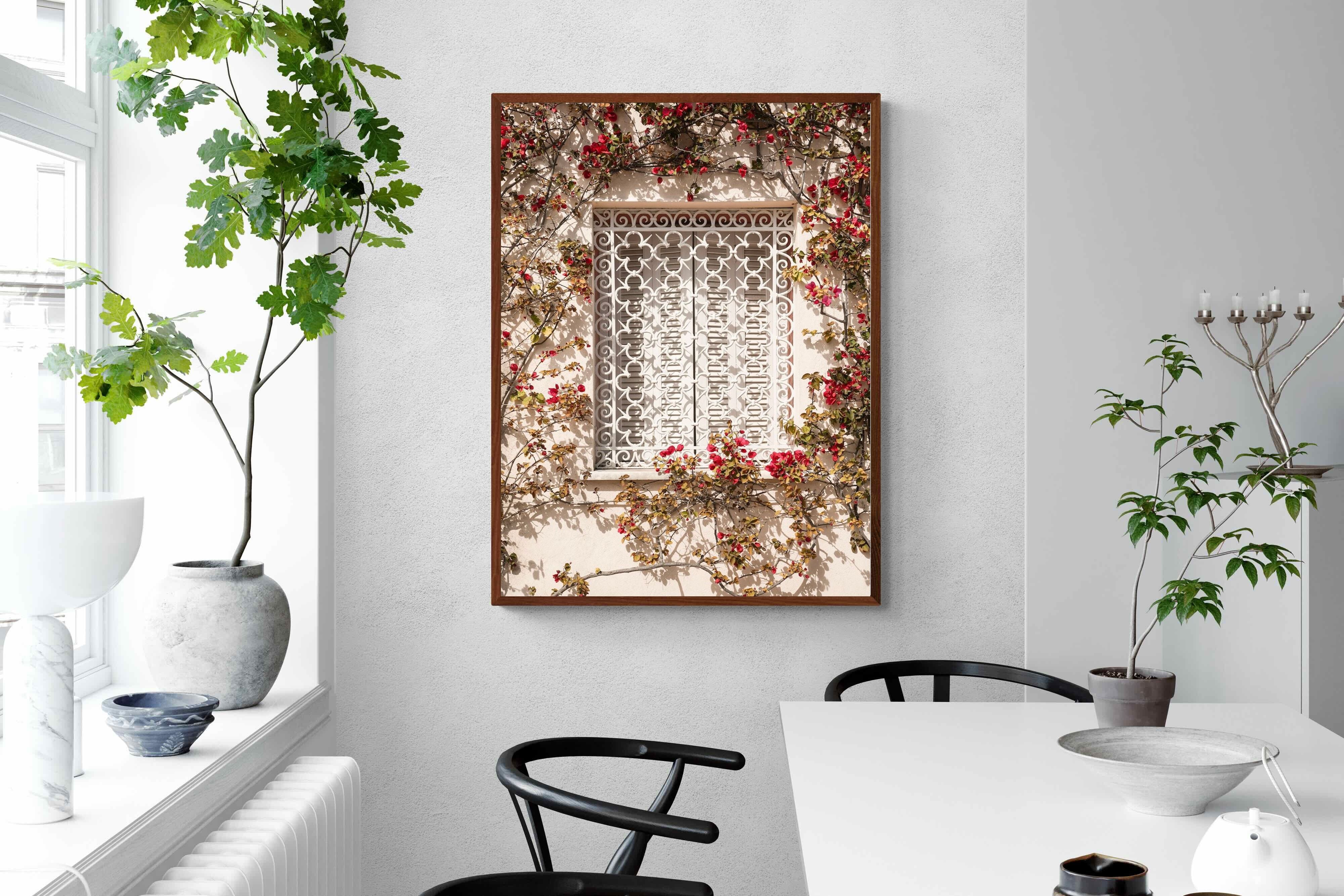 Pixalot Red Frame