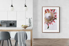 Pixalot Red King Protea