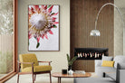 Pixalot Red King Protea