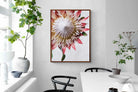 Pixalot Red King Protea