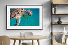 Pixalot ® Reef Companion