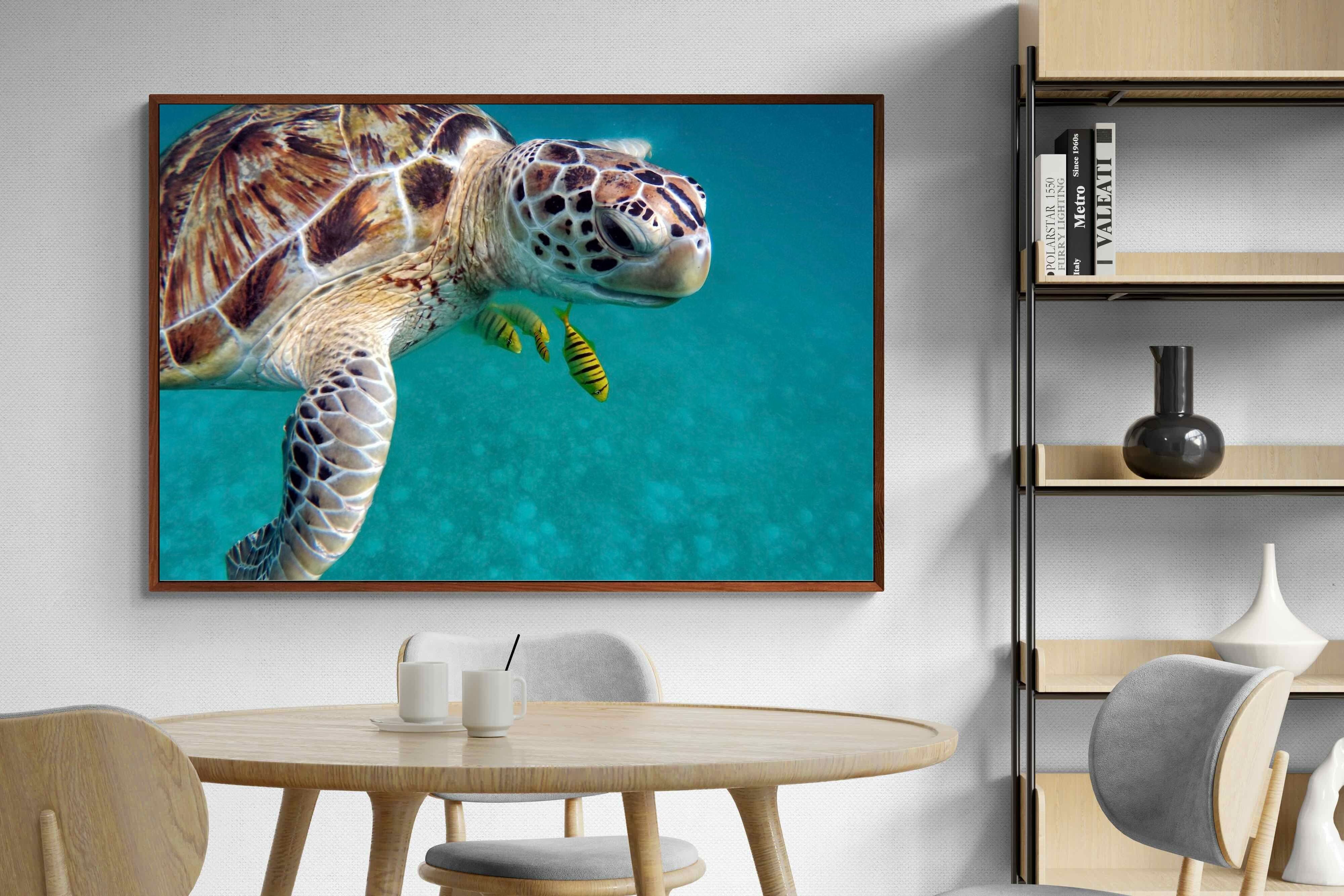 Pixalot ® Reef Companion
