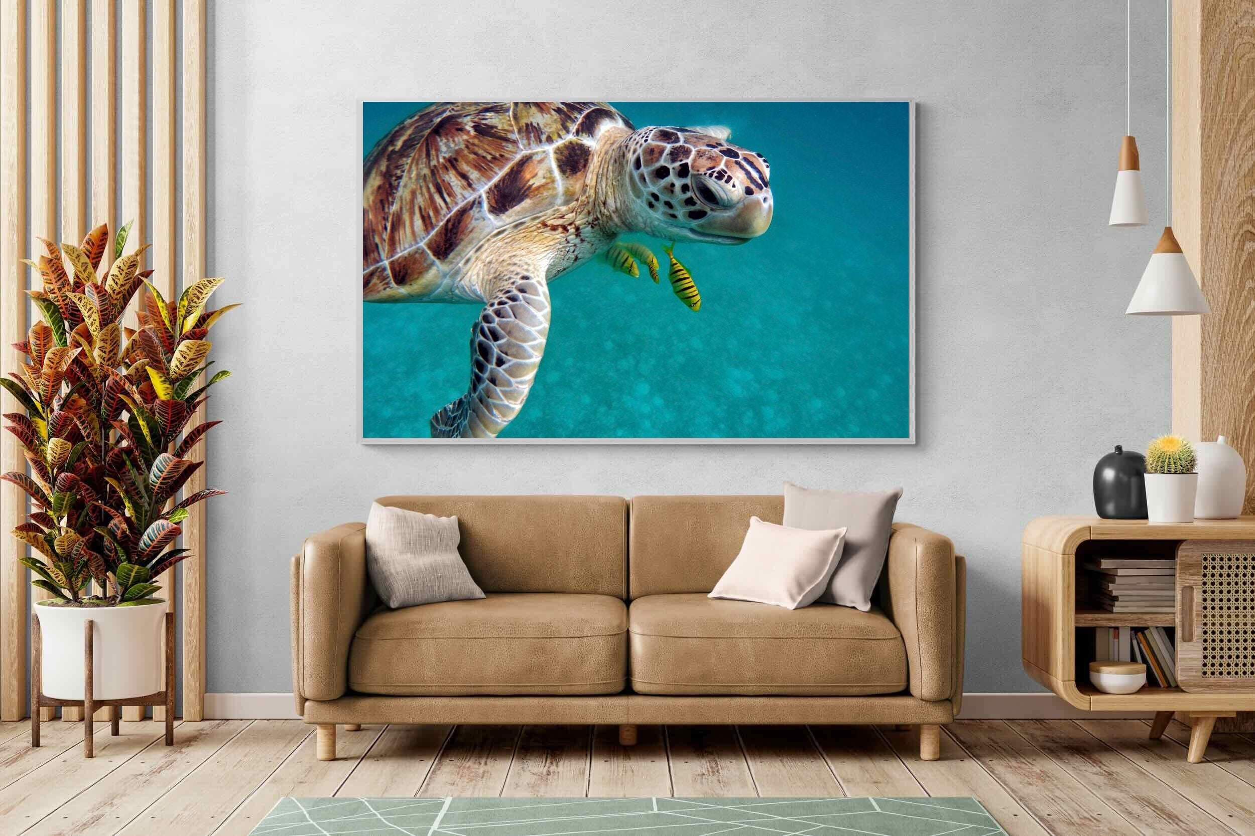 Pixalot ® Reef Companion