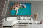 Pixalot ® Reef Companion