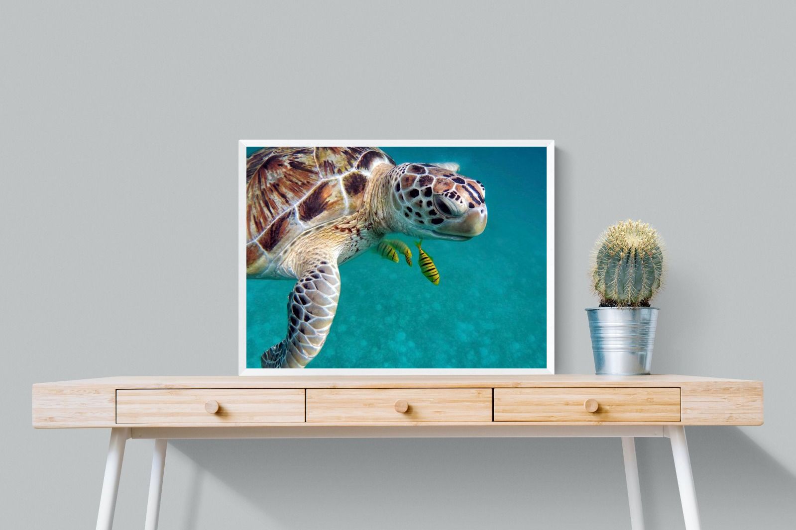 Pixalot ® Reef Companion