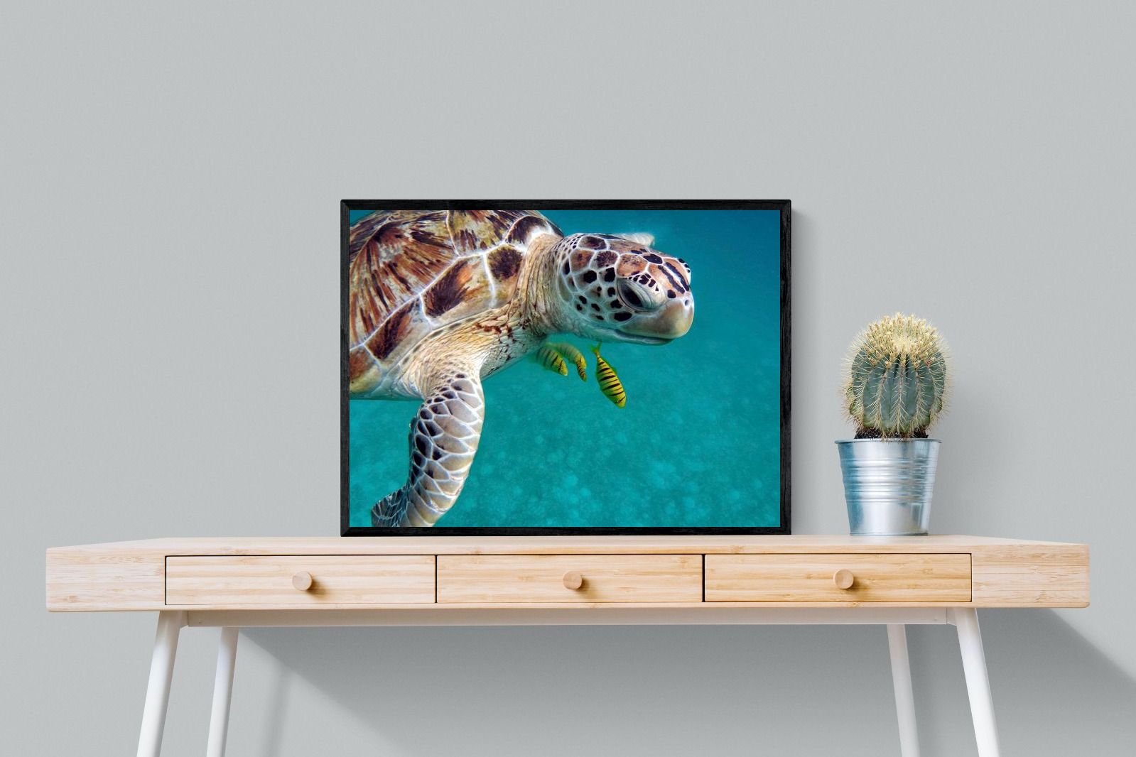 Pixalot ® Reef Companion