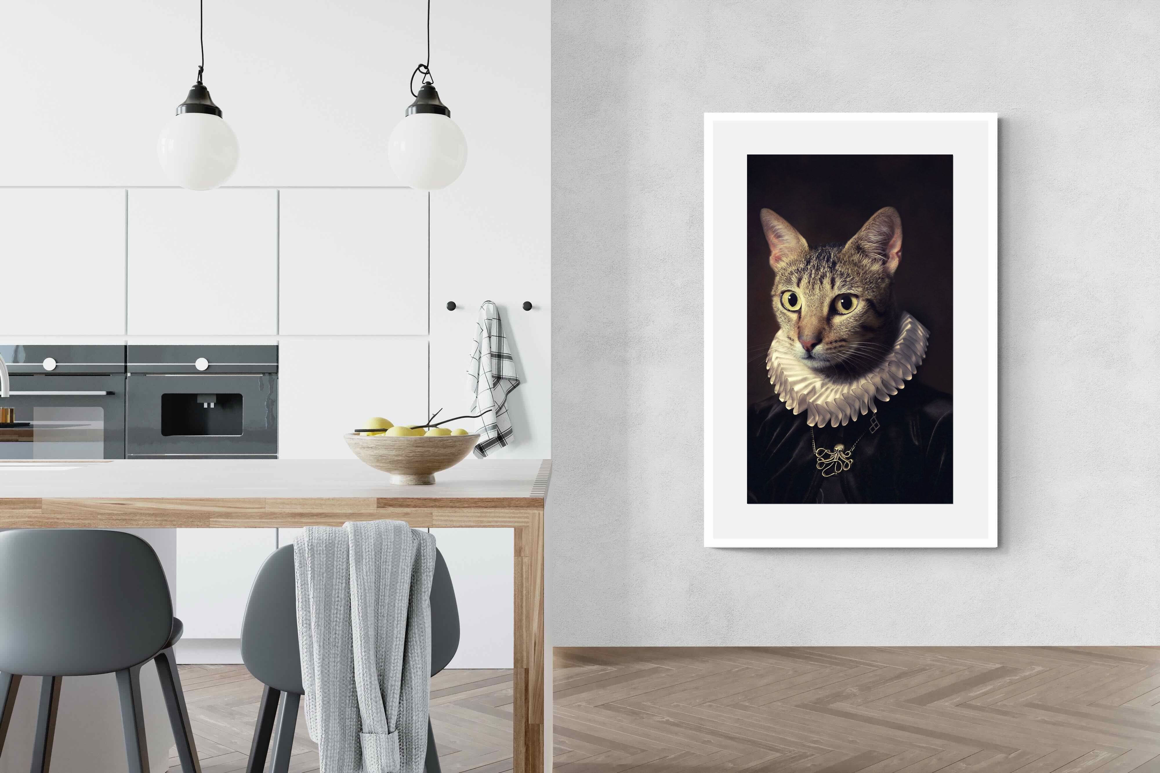 Pixalot Regal Cat