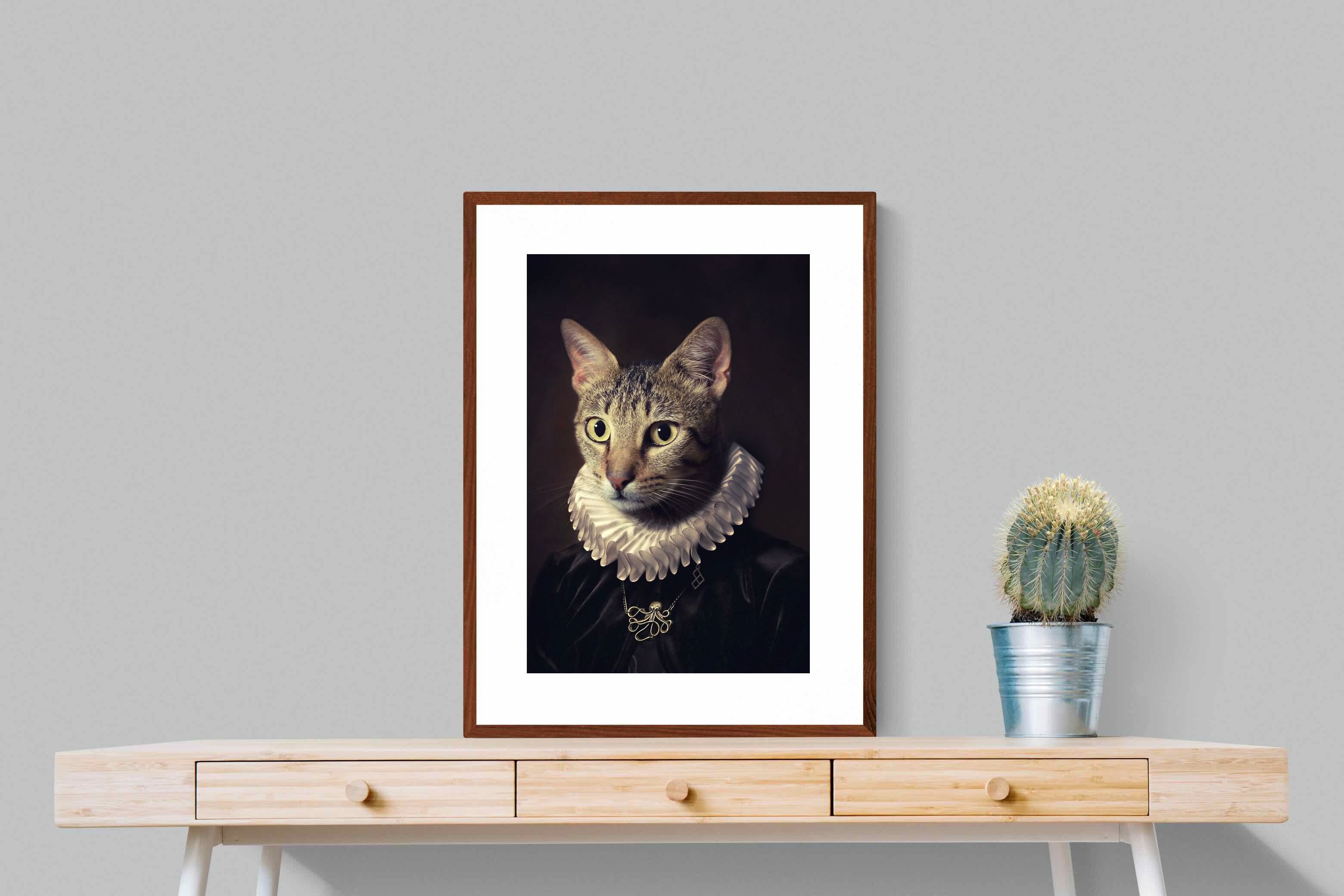 Pixalot Regal Cat