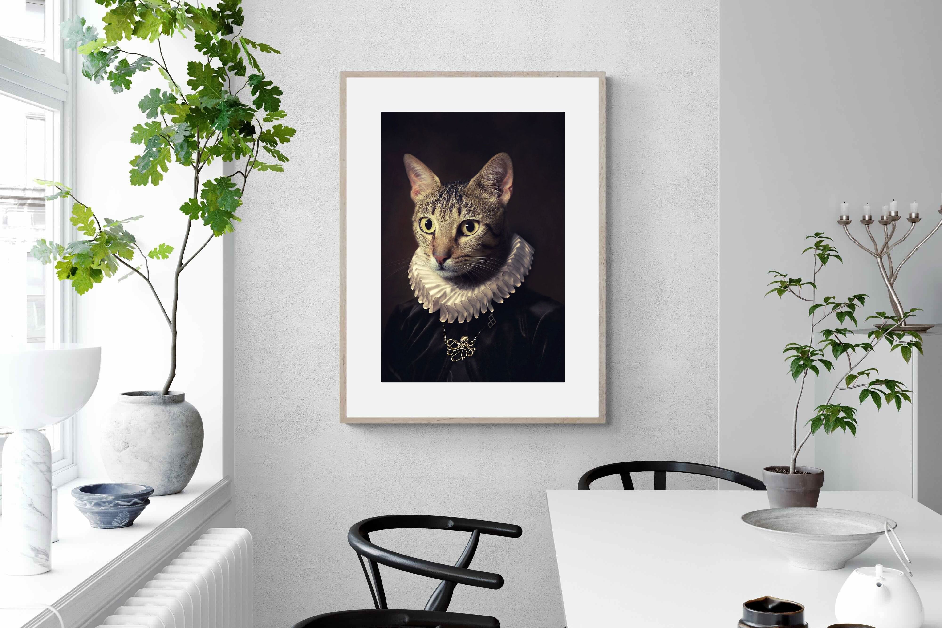 Pixalot Regal Cat