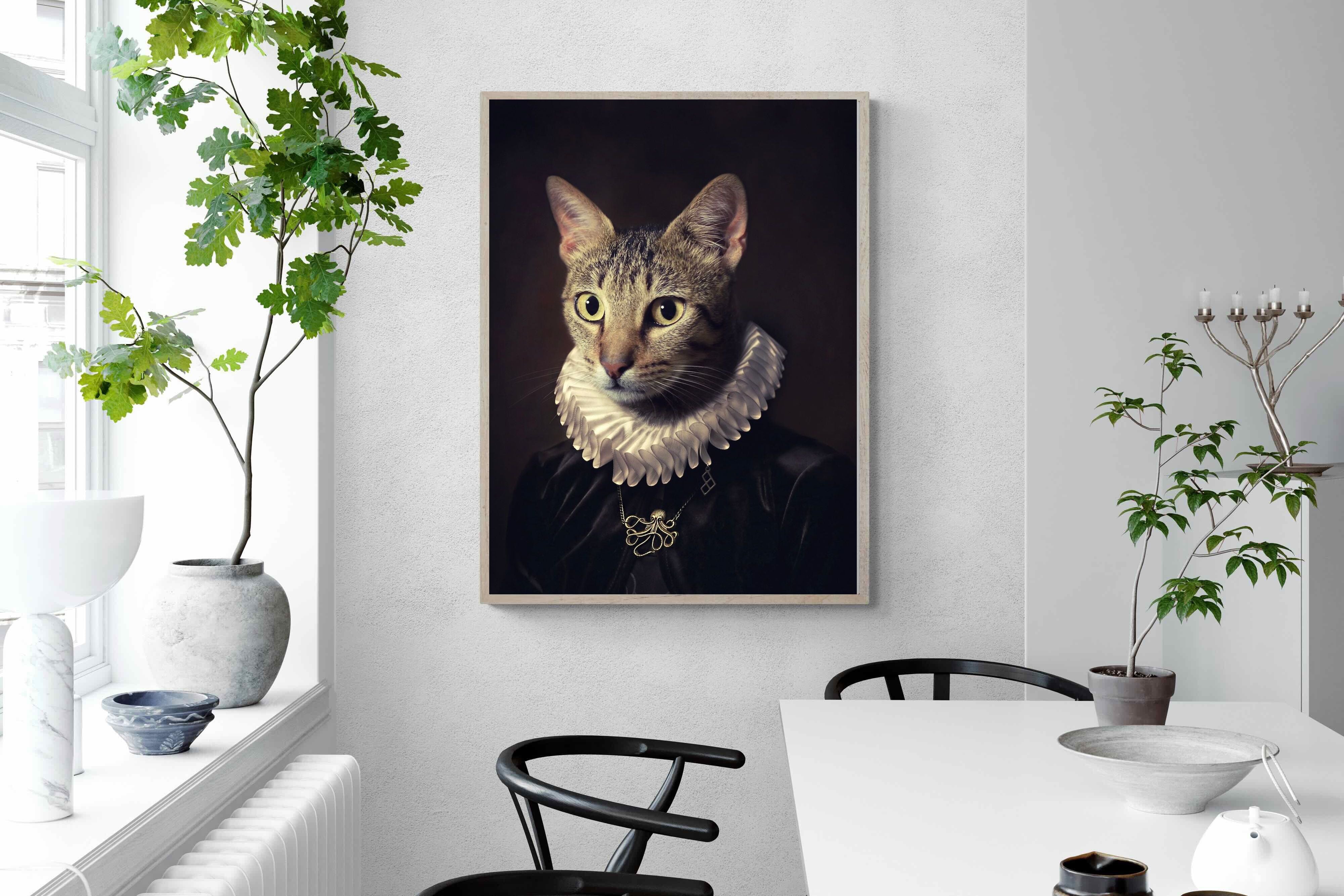 Pixalot Regal Cat