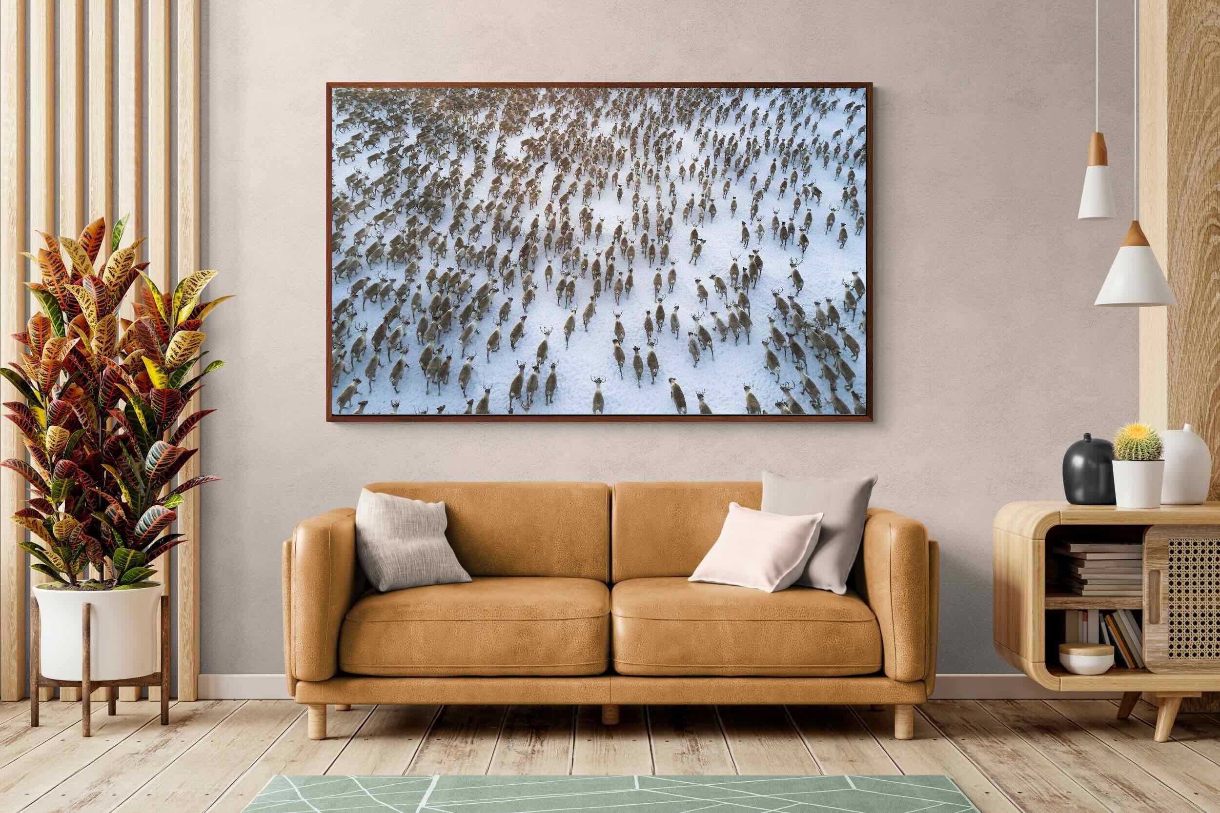 Pixalot ® Reindeer Herd