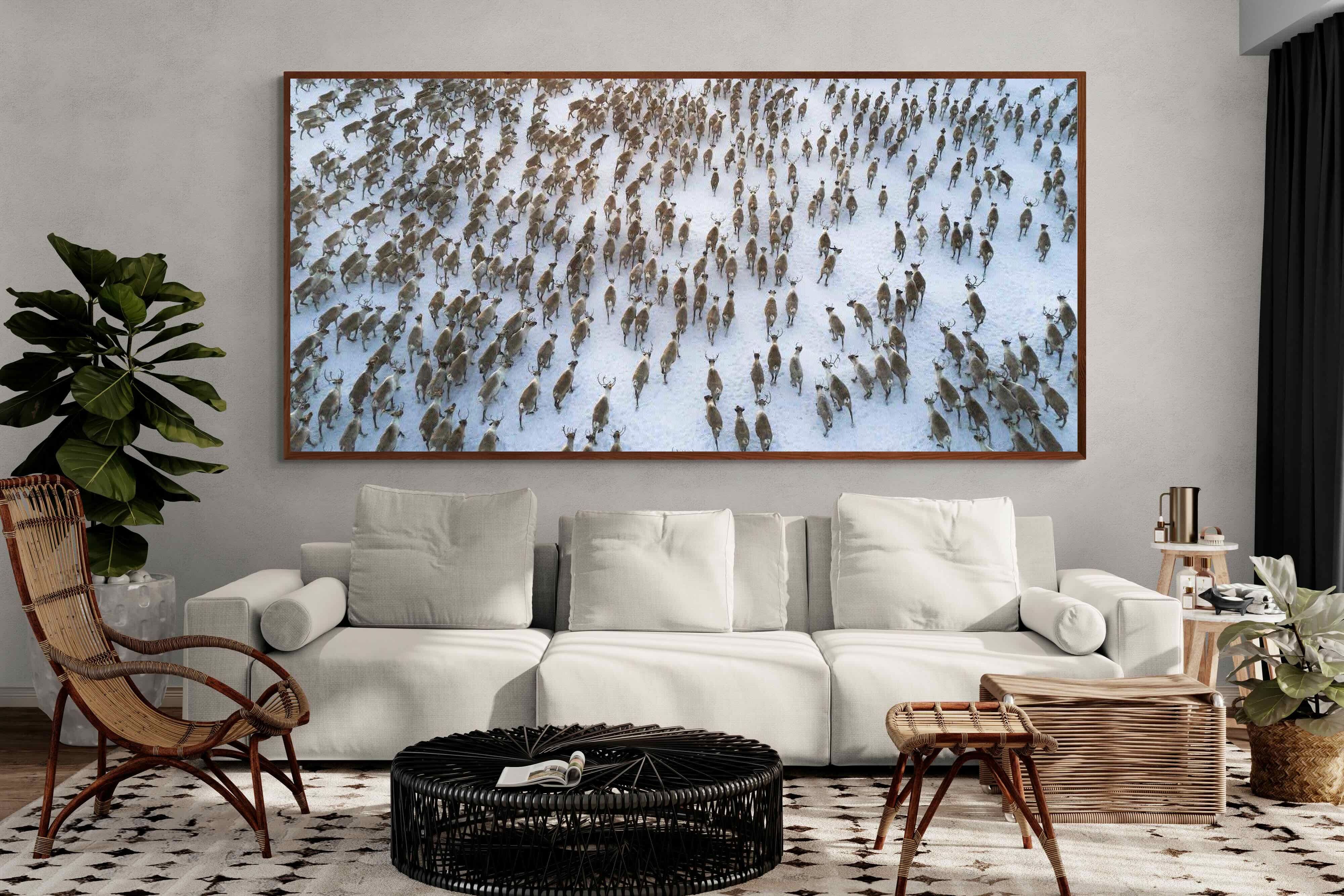 Pixalot ® Reindeer Herd