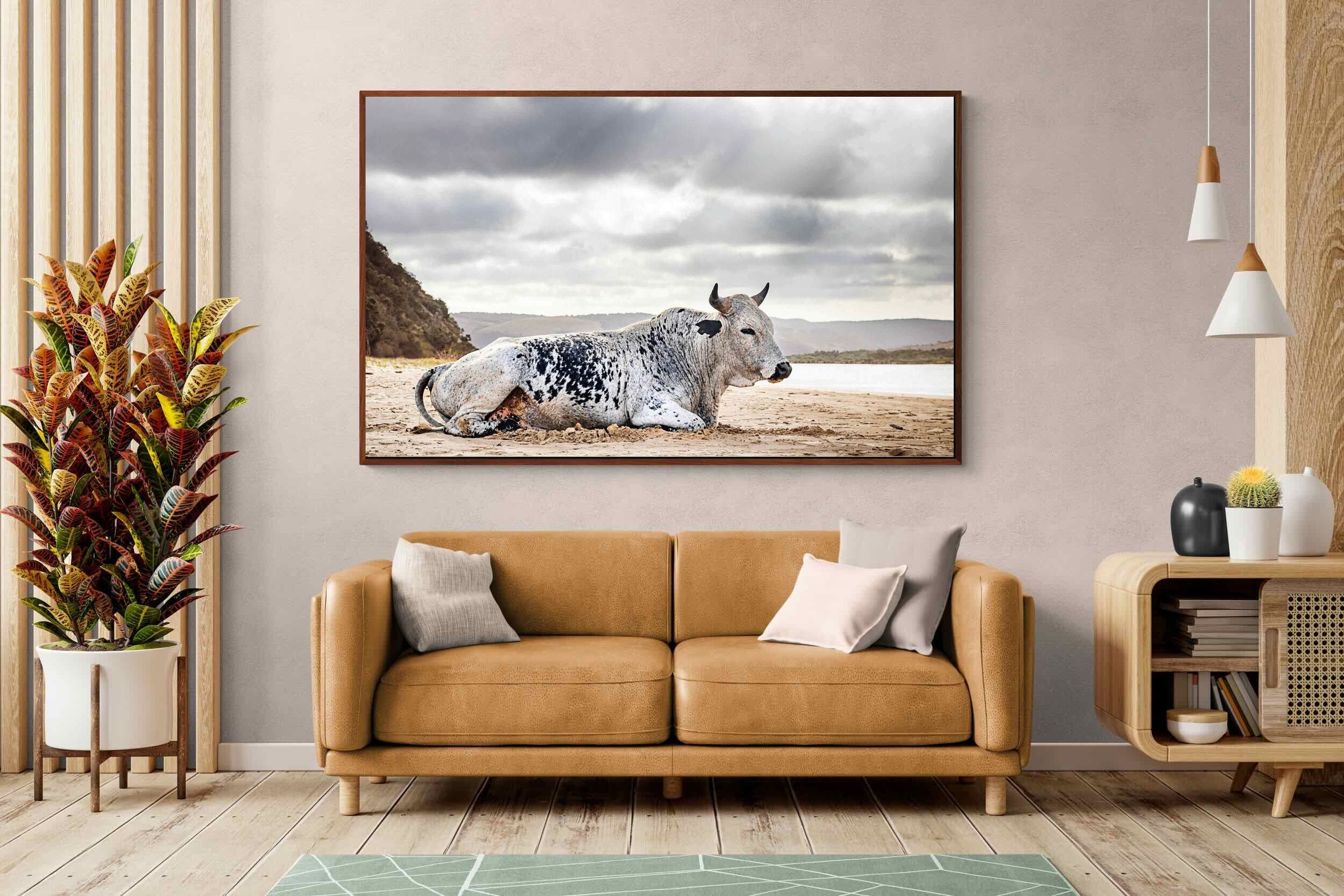 Pixalot ® Resting Bull