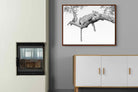 Pixalot ® Resting Leopard