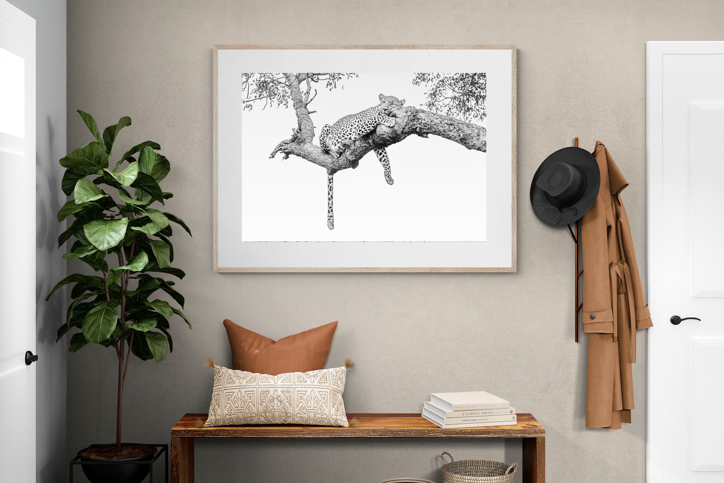 Pixalot Resting Leopard