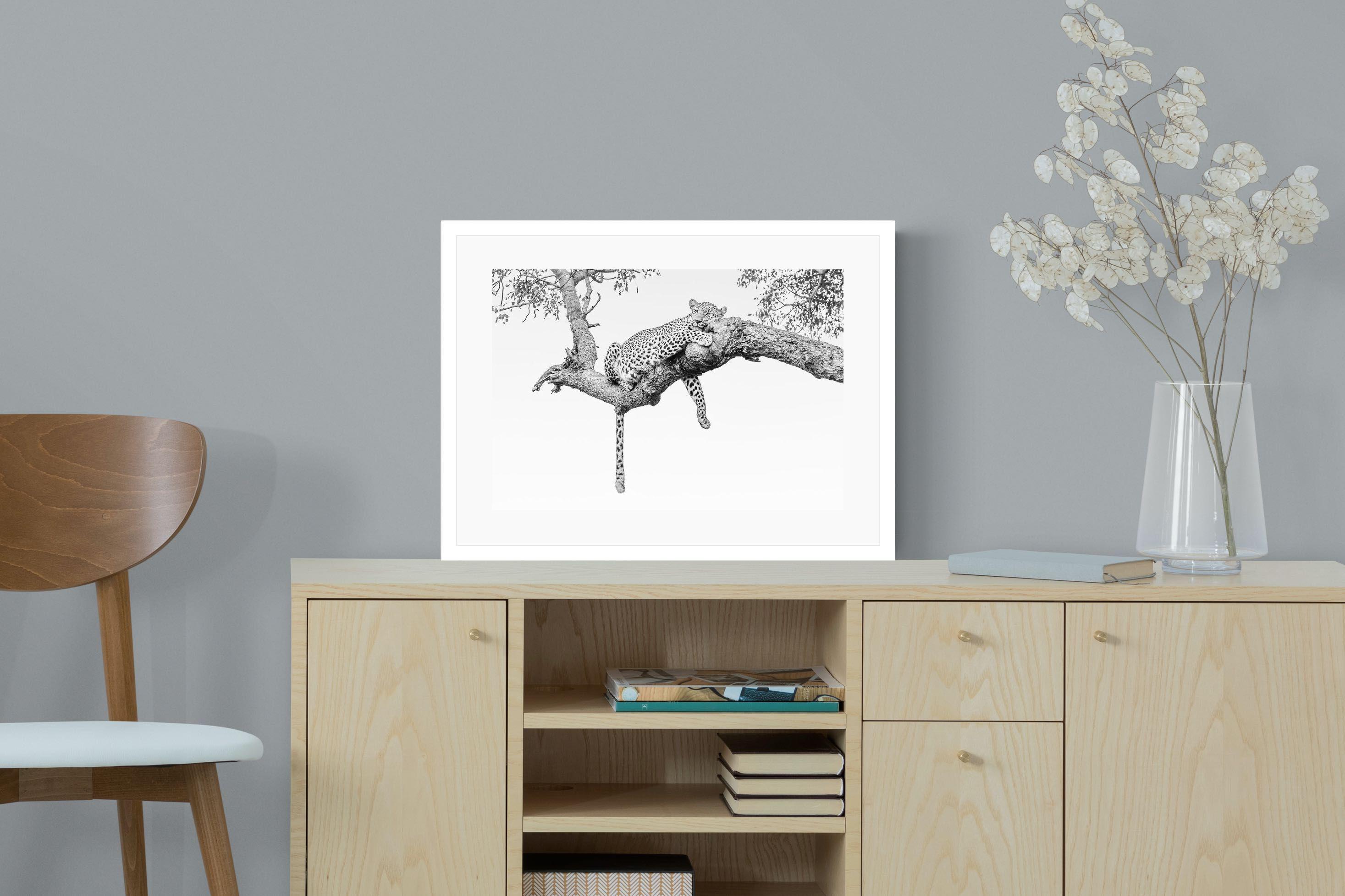 Pixalot Resting Leopard