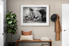 Pixalot Resting Lion