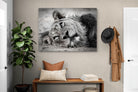 Pixalot Resting Lion