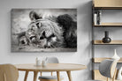 Pixalot Resting Lion