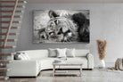 Pixalot Resting Lion