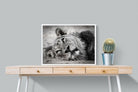 Pixalot Resting Lion
