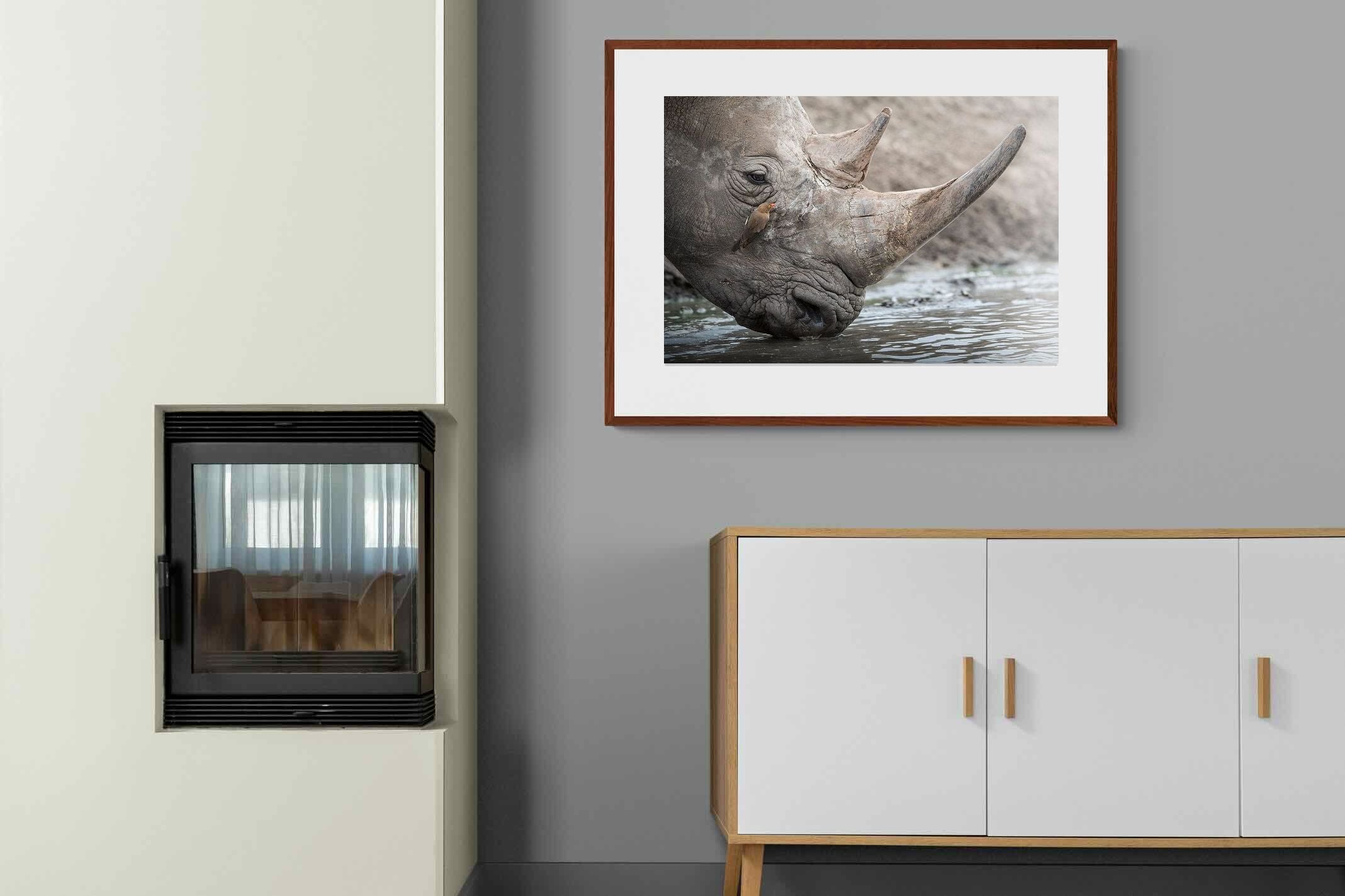 Pixalot Rhino & Friend