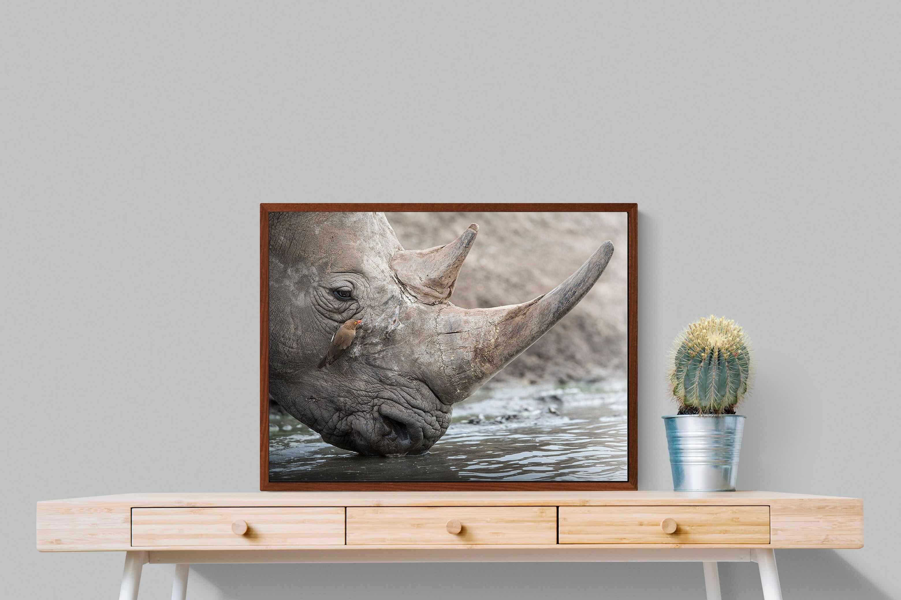 Pixalot Rhino & Friend